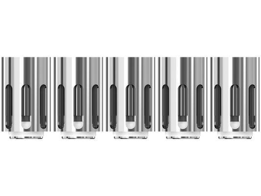 Joyetech BFC Mesh Heads (5 Stück pro Packung)